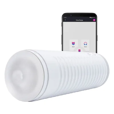 Lovense Max 2: anmeldelse : produktfoto af Lovense Max 2 fra butikken